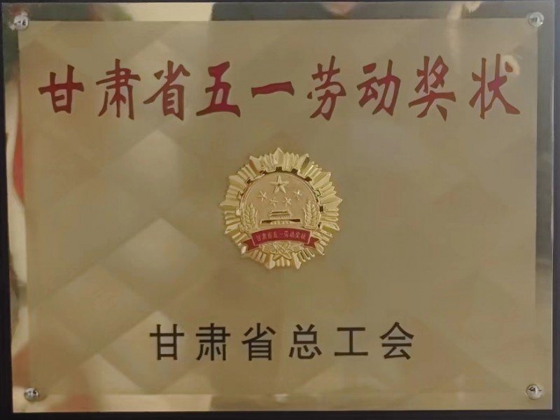 喜獲雙譽！我司承建蘭州、長沙兩大機場項目獲業主高度肯定