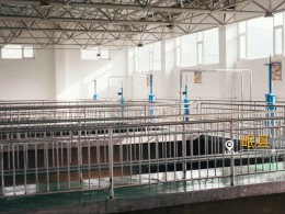 喜獲雙譽！我司承建蘭州、長沙兩大機場項目獲業主高度肯定
